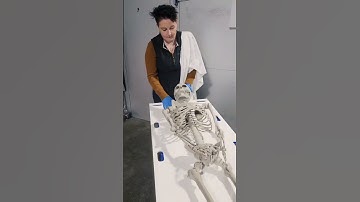 What REALLY Happens When You Arrive at a Funeral Home