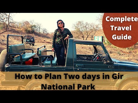 Gir National Park Travel Guide | How to reach? What to see in two days, Things to do in Gir ?