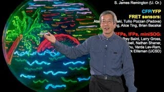 Microscopy: Fluorescent Proteins (Roger Tsien)