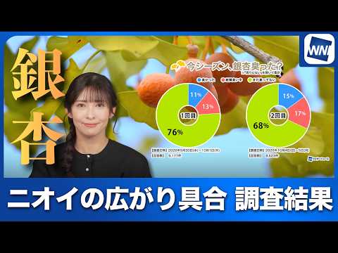 Survey Results: How the Smell of Ginkgo Nuts Is Spreading