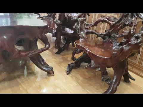 Video Em có bộ bàn ghế gốc cây gỗ trắc muốn bán ai có nhu... - youtube