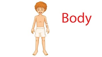 Từ vựng tiếng Anh | 20 bộ phận trên cơ thể | Body