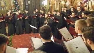 Video thumbnail of "Din cer senin - Tronos"