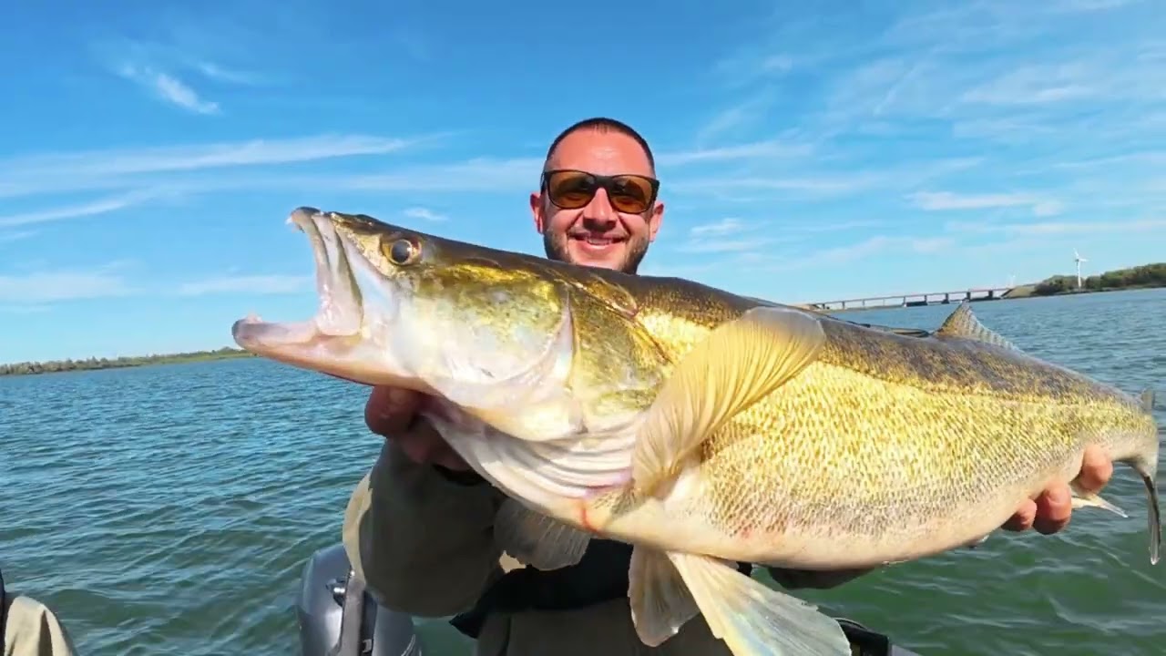 Gast von Lure Fishing Guide mit mega zander