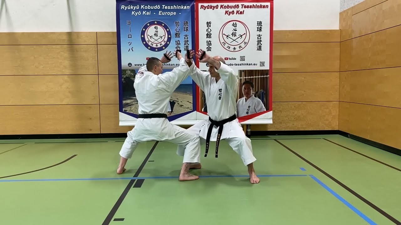 琉球古武道 鉄甲 空手 沖縄空手・琉球古武道（術） 前里の鉄甲🎦 |