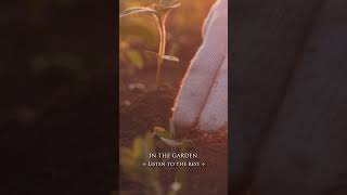 In the Garden🙏🏼  Finding Peace 🌹 #hymns #harp #calming #relaxation #christian #instrumental #music