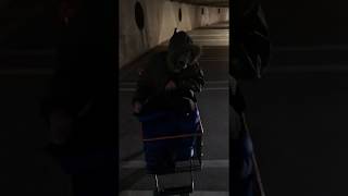 Car Shopping-Snorri99Skillz