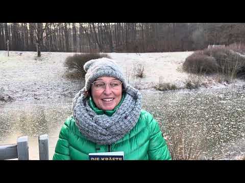 Die Kräfte des Wassers – Buch über Wasser und Wohlbefinden