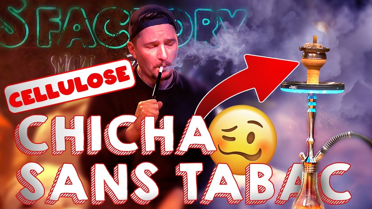 CHICHA SANS TABAC (SHISHA VAPING) AVEC CELLULOSE MOASSEL CLOUD ONE WAYS