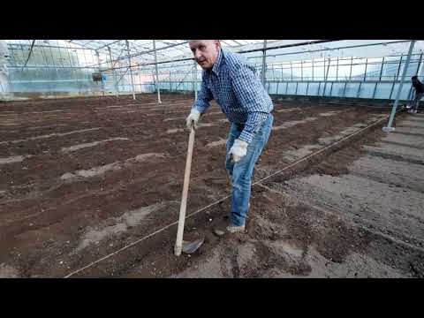 Video: Terreno Della Serra