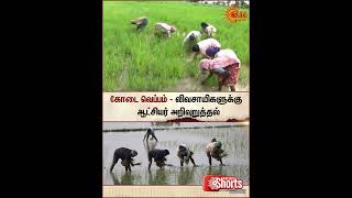 Summer Heat Climate | District Collector Issues Advisories To Farmers | Sun News