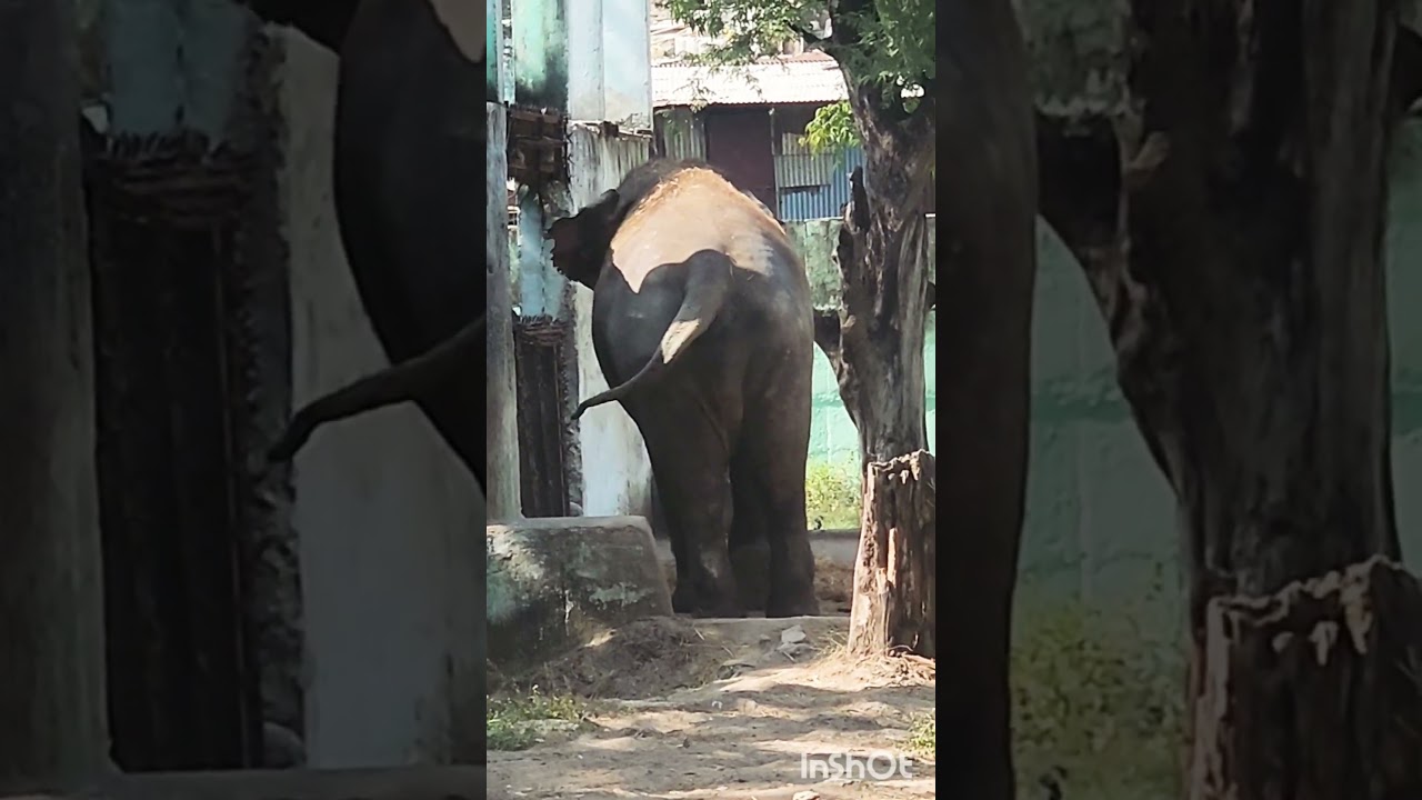 samsung s22 ultra zoom   please like or subscribe 🙏