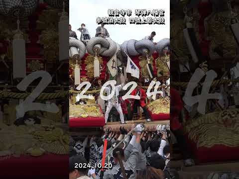 ２０２４年の観音寺祭りをちょっとだけプレイバック動画２ #太鼓台 #観音寺市 #art