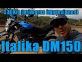 Italika - DM150 - 2023 - Compra en Linea - Primeras Impresiones - 330Kms recorridos [V-blog518]