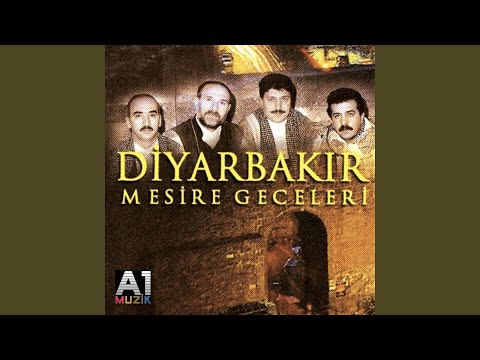 Erbadaş Direkhane /