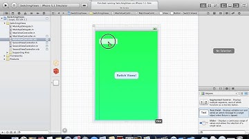 Switching and Passing Data between Views - XCode 4