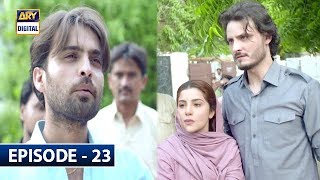 Surkh Chandni Episode 23 - 3rd Sep 2019 ARY Digital
