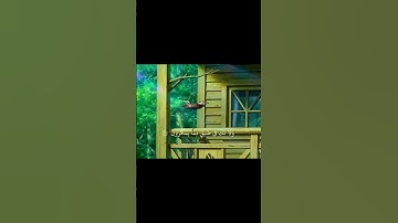 واصبر وما صبرك الا بالله ولا تحزن عليهم ولا تك في ضيق مما يمكرون/سورة النحل/بصوت عبدالباسط عبدالصمد