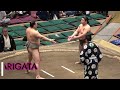 Yokozuna Council demands injury answers + lower-division champions (Sumo News, May 26th)