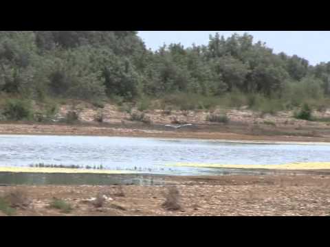 Видеоролик: Остров Тузла