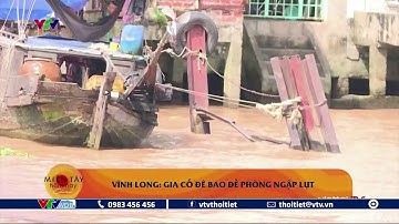 Vĩnh Long gia cố đê bao đề phòng ngập lụt | @vtvthoitietofficial