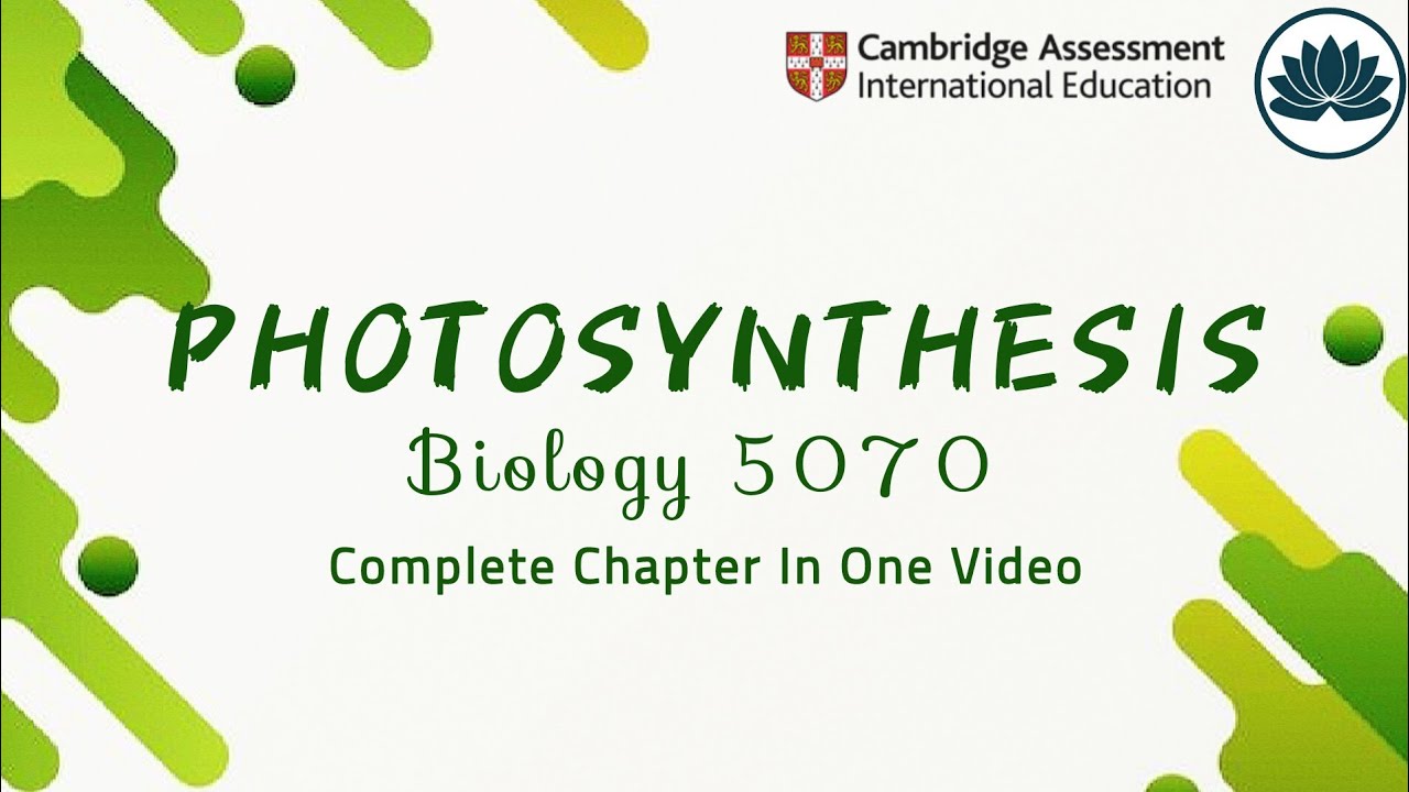 Photosynthesis | Plant Nutrition | GCE O Level | Biology - YouTube