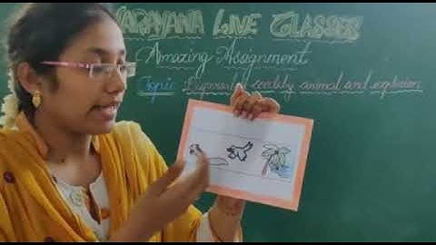 AP & T CLASS V SCIENCE ASSIGNMENT KEY DAY 13