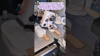 Ice Cream Coating Revolution: Exploring Automated Dessert Production Technology
