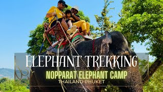 Elephant Trekking|Nopparat Elephant Camp |Thailand | Phuket 🇹🇭