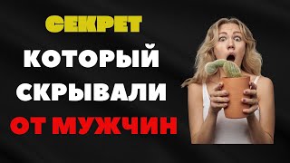 Как вернуть энергию и уверенность после 60 — без таблеток и врачей