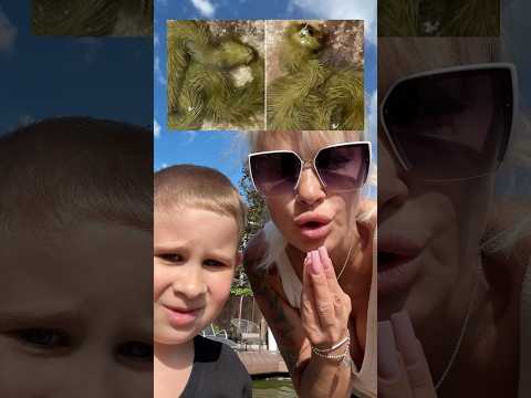 кто это был в пруду 😫😫🪑#стрим#стандофф2#юмор#игры#рек#рекомендации#roblox#reels#а4