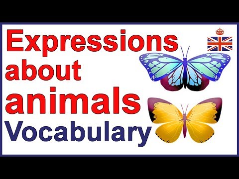 English idioms and expressions related to ANIMALS