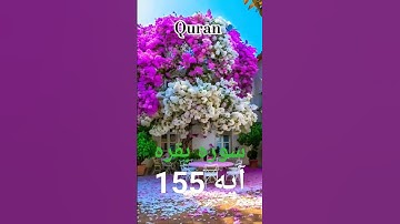 ترجمه سوره بقره آیه155 #قران_الكريم #پیام_قرآن #ترجمه_قرآن_کریم
