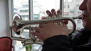 Behning & Sons 3 Piston Piccolo Trumpet