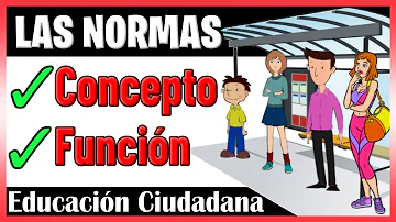 ¿Cuál es la importancia de las normas?