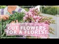 Harvesting cut flowers to florist in my Swedish Cottage Garden