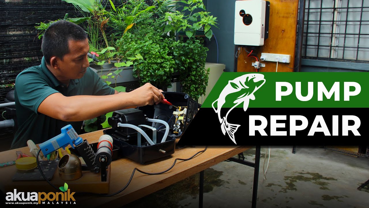 Cara Repair Pam Oksigen Hailea CP60 | Kenalpasti Kerosakan  | Modal RM 2.80 - Jimat RM300 !!!