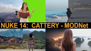 NUKE TUTORIAL - NUKE14 | CATTERY | MODNet
