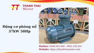 Động cơ phòng nổ 37kW 50Hp: Thành Thái Motor