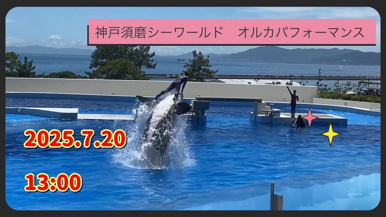 神戸須磨シーワールド オルカパフォーマンス 2025.7.20 13:00