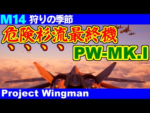 [PW-MK.I] M14(狩りの季節) [Project Wingman]