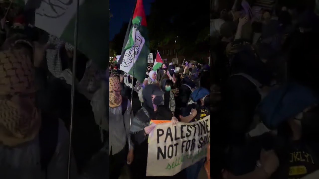 Jewish Man dances along to Palestinian protest tunes in Brooklyn 😛