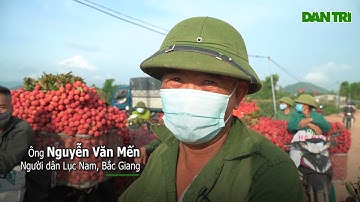 Dân Bắc Giang  chật vật  qua cầu phao chở vải đi bán   Dân Trí TV