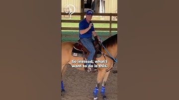 Quick Tips On Seat And Rein Management To Build Confidence! Part 2. | The Horse Guru-Michael Gascon