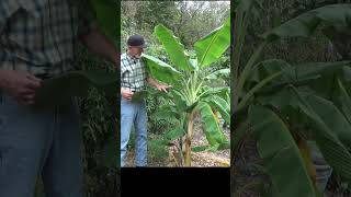 Imagine Your Harvest