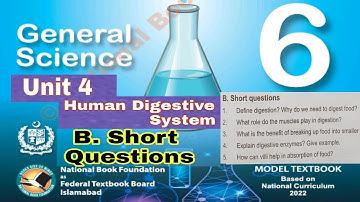 Class 6 Science Chapter 4 | Human digestive system | short questions |SNC|NBF| ilmi darasgah