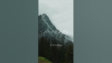 تلاوة جميلة بصوت الشيخ ماهر المعيقلي ارح سمعك