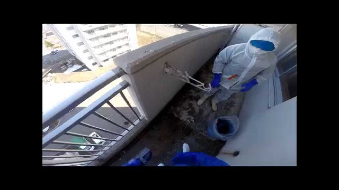 鳩のフンを掃除消毒する方法は 使う洗剤や感染症を防ぐための注意点 見つけた