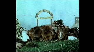 Tales Of The Riverbank, Episode - The Race