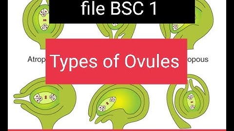Types of Ovules #botany practical bsc 1 year #semester second #
